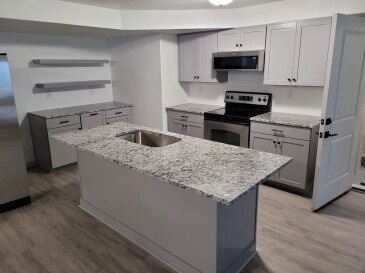 2006861 Granite Ashen White