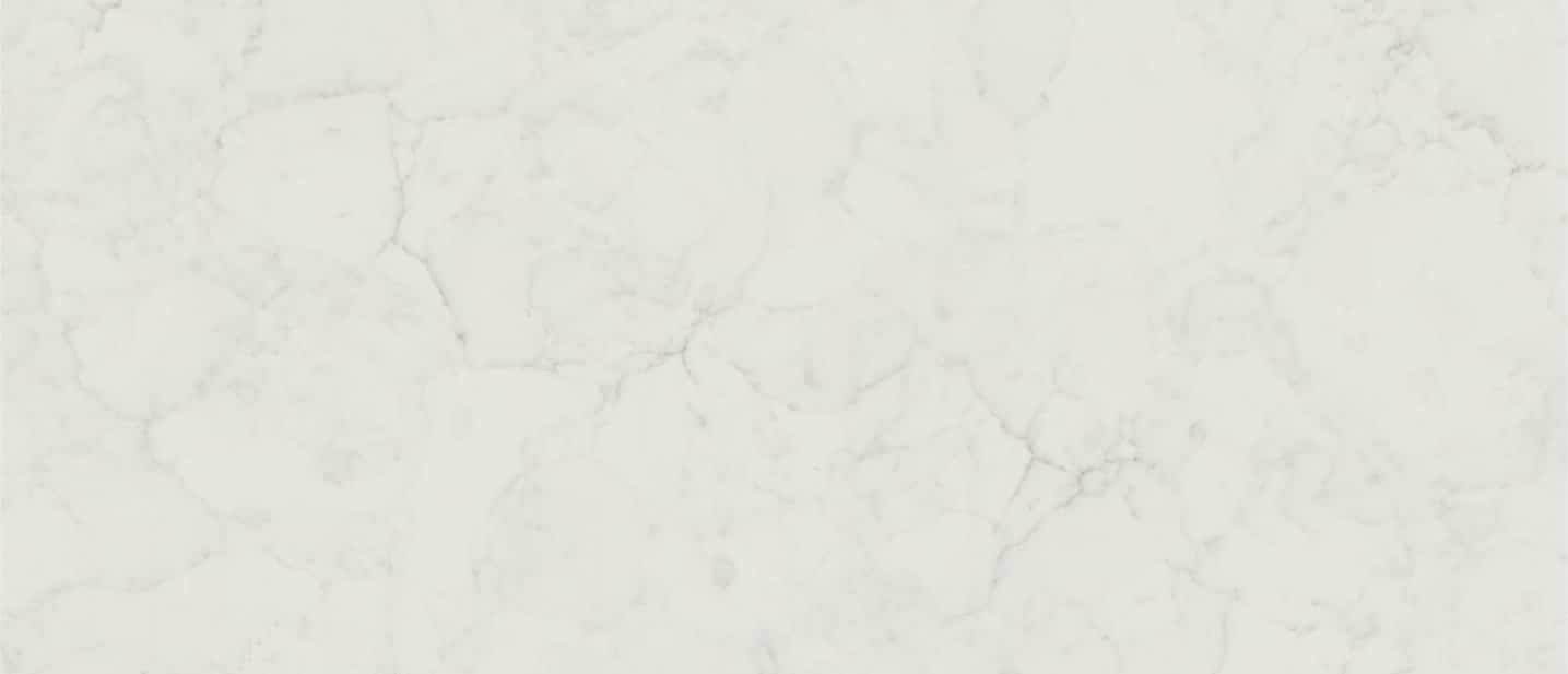 Calacatta Lace Close up
