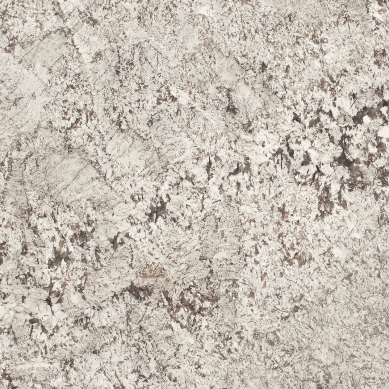 Star White Close Up
