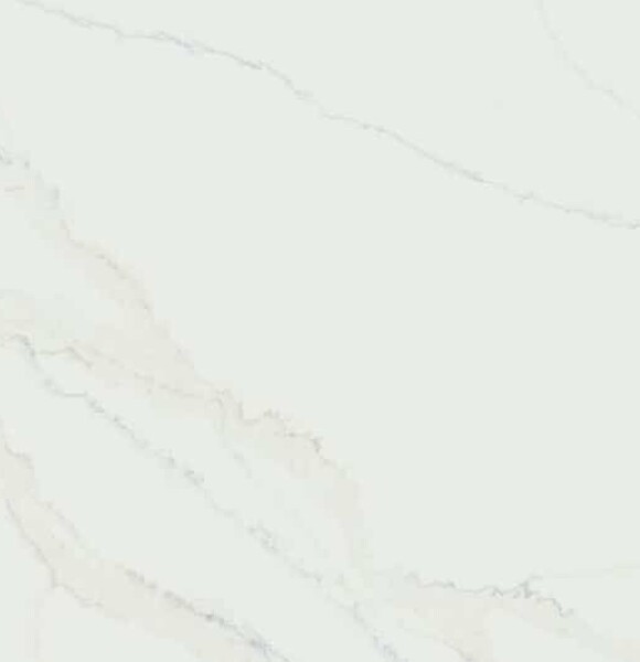 Calacatta Coastal Close up