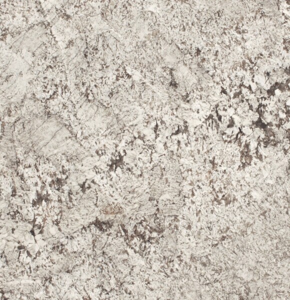 Star White Close Up