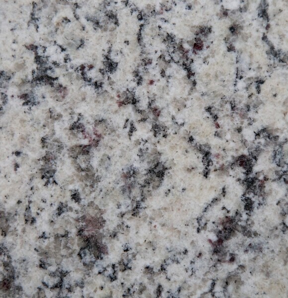 White Napoli Close Up